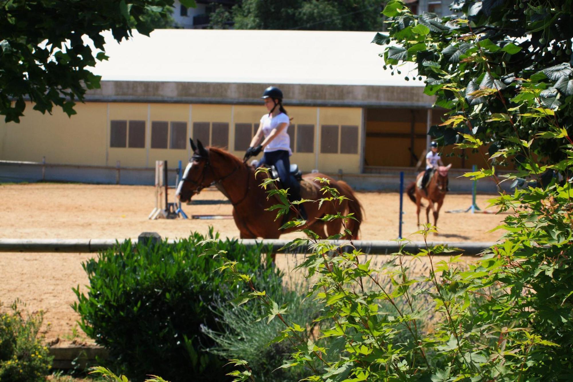 Farm Stay Zevnik Brežice Eksteriør billede