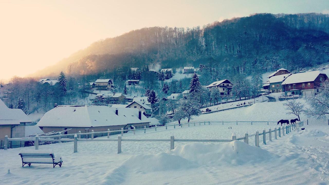 Farm Stay Zevnik Brežice Eksteriør billede